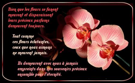 Aurevoir